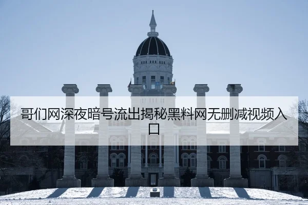 哥们网深夜暗号流出揭秘黑料网无删减视频入口